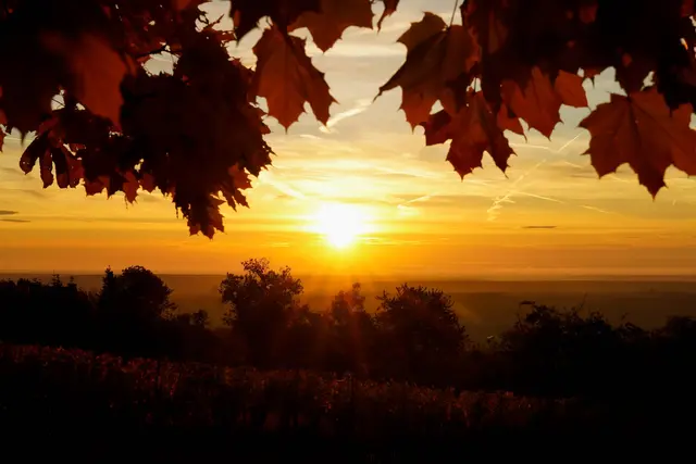Goldener Herbst im Burgenland. Danke an Oliver Oszwald für das Foto auf MeinBezirk. | Foto: Oliver Oszwald 