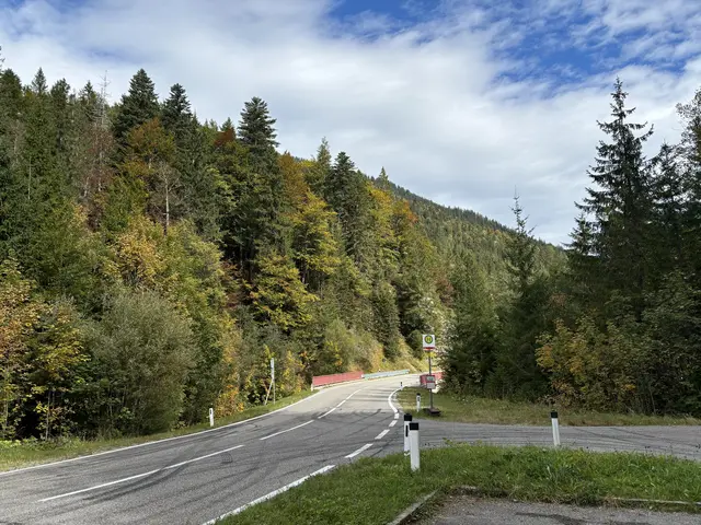 Die wichtige Verbindung vom Plansee kommend über den Ammerwald in Richtung Ettal wird ab der Grenze gesperrt. | Foto: Reichel