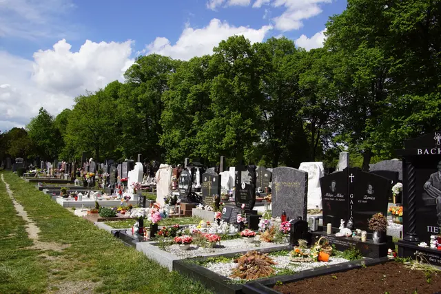 Zu Allerheiligen und Allerseelen stellt sich mildes und sonniges Wetter ein. | Foto: Alois Fischer