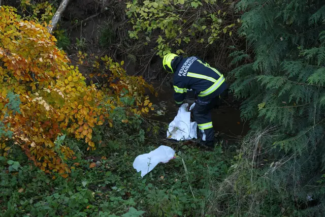 Foto: laumat/Matthias Lauber