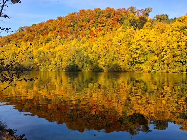 ...und die Traun in ein FARBENMEER verwandelt.