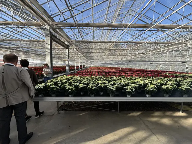 Foto: MeinBezirk/Angelika Kern