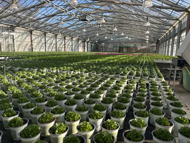 Foto: MeinBezirk/Angelika Kern