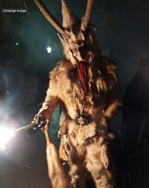 Damit der Lauf im Dezember reibungslos und sicher abläuft, setzen die Veranstalter auf klare Organisation. Absperrgitter, Ordner und Verhaltensregeln sorgen dafür, dass Besucher und Teilnehmer das Ereignis unbeschwert genießen können. | Foto: Jedenspeigner Schlossgrom Teilfln