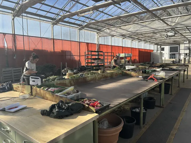 Foto: MeinBezirk/Angelika Kern