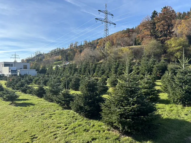 Foto: MeinBezirk/Angelika Kern