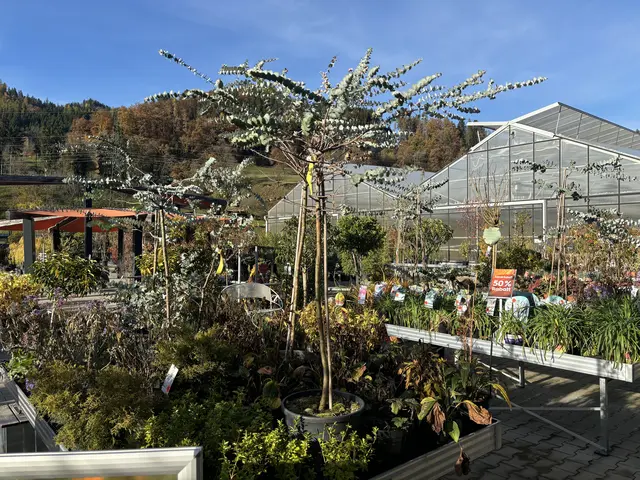 Foto: MeinBezirk/Angelika Kern