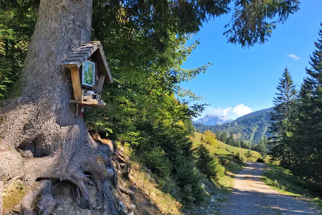 Wunderbares sonniges Wanderwetter 
aber bei kühlen Temperaturen.
 Noch schnell umdrehen um DANKE zu sagen, bevor wir zur Oberwiesalm und weiter zur Loibersbacher Höhe weitergehen.
Mittig sieht man den Schafberg.