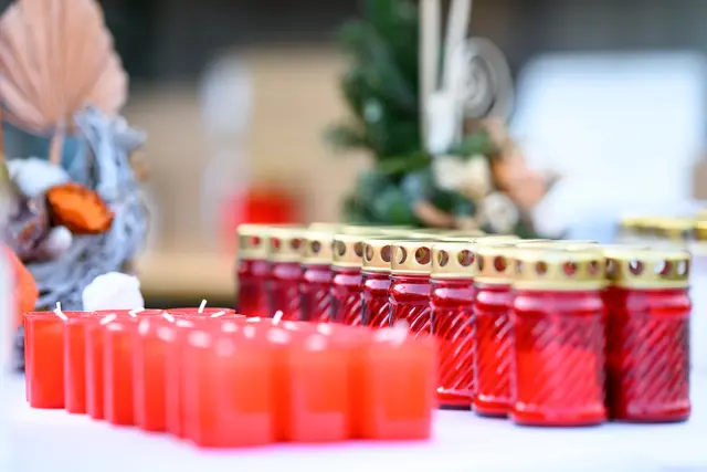 Foto: MAX SLOVENCIK / APA / picturedesk.com