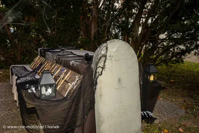 Foto: www.cine-motion.at / Ivanek