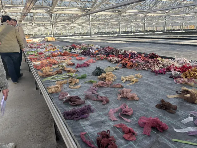 Foto: MeinBezirk/Angelika Kern