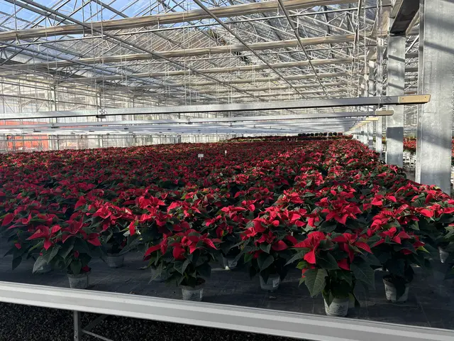 Foto: MeinBezirk/Angelika Kern