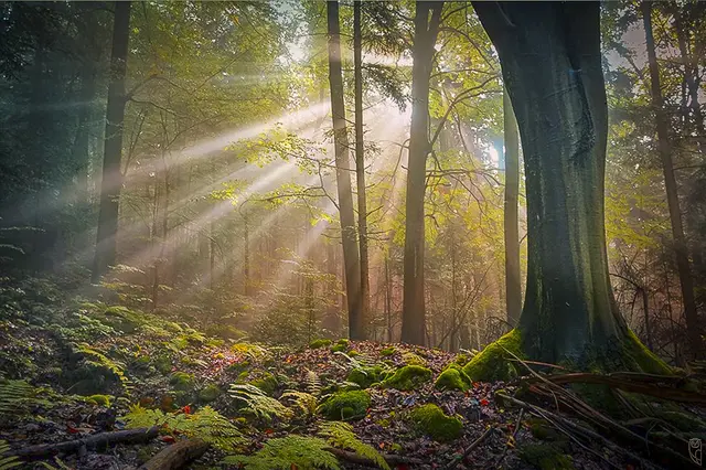 Was zu dir gehört, das kannst du nicht verlieren.
Was nicht zu dir gehört, kannst du nicht festhalten.
Foto: Glaser 