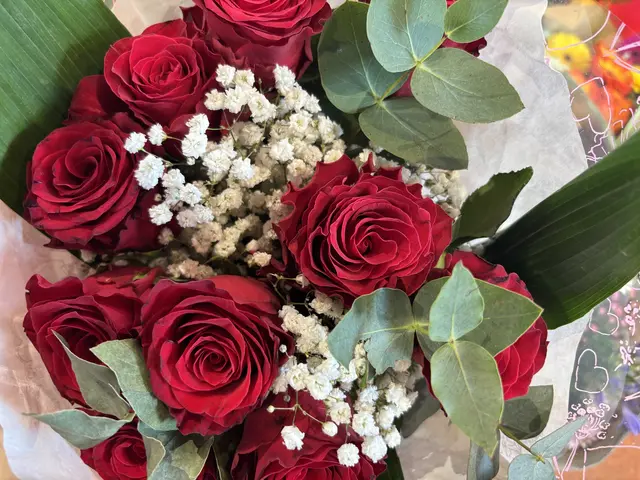 Foto: Alexandra Goll