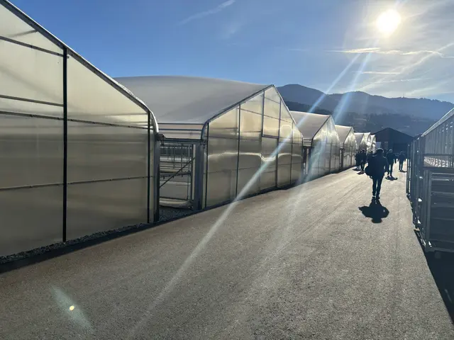 Foto: MeinBezirk/Angelika Kern