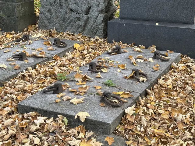 Foto: Antonio Šećerović/MeinBezirk