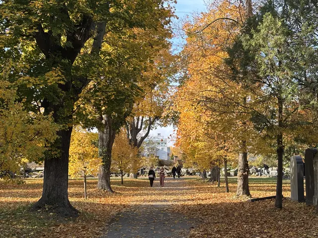 Foto: Antonio Šećerović/MeinBezirk