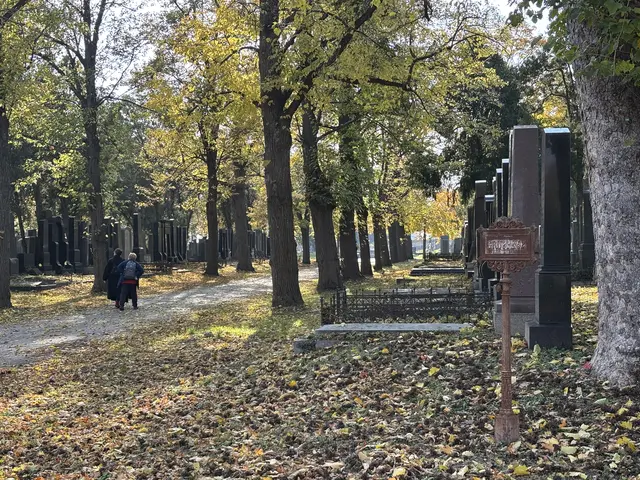 Foto: Antonio Šećerović/MeinBezirk