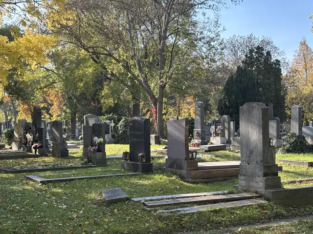 Foto: Antonio Šećerović/MeinBezirk