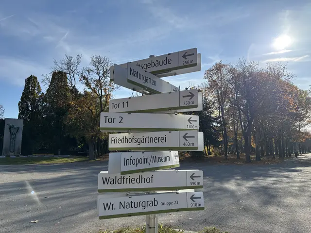 Foto: Antonio Šećerović/MeinBezirk