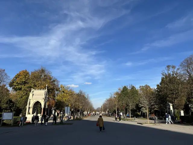 Foto: Antonio Šećerović/MeinBezirk