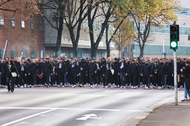 Vom Stadtpark marschierten die Athletiker-Fans über die Gruberstraße in Richtung Eisenbahnbrücke/Donaupark. | Foto: Reischl