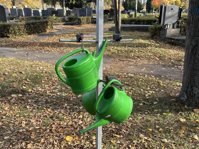 Foto: Antonio Šećerović/MeinBezirk