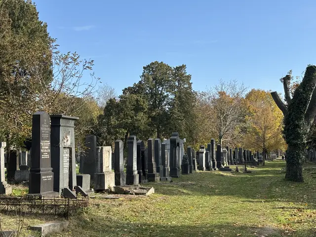 Foto: Antonio Šećerović/MeinBezirk