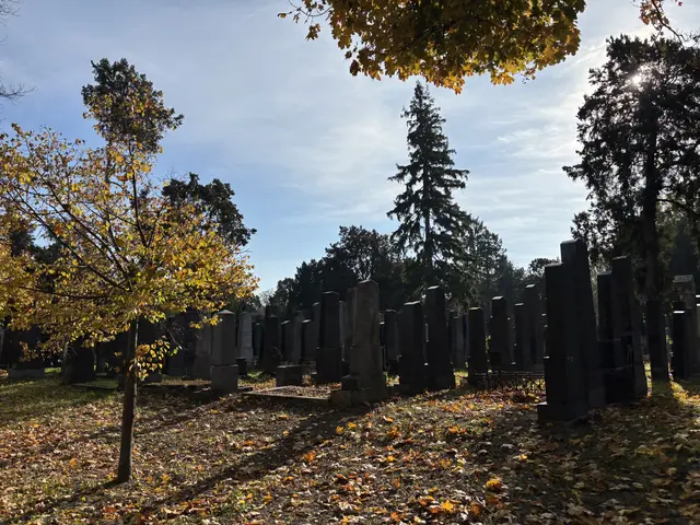 Foto: Antonio Šećerović/MeinBezirk