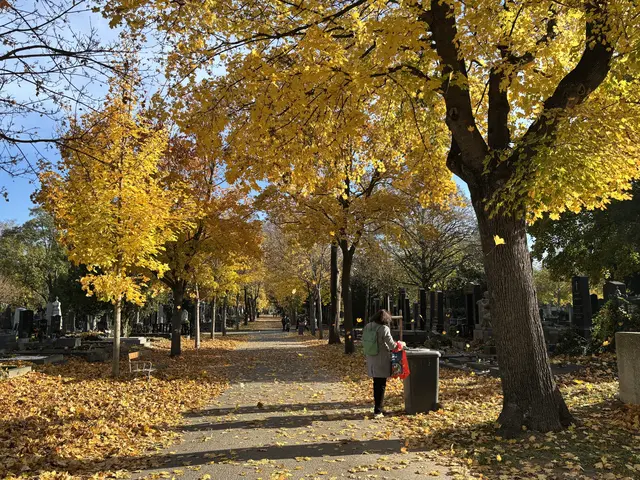 Foto: Antonio Šećerović/MeinBezirk