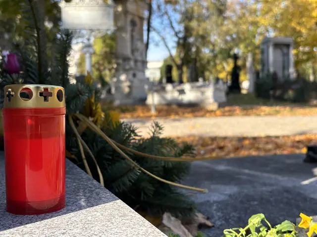 Foto: Antonio Šećerović/MeinBezirk