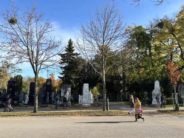 Foto: Antonio Šećerović/MeinBezirk