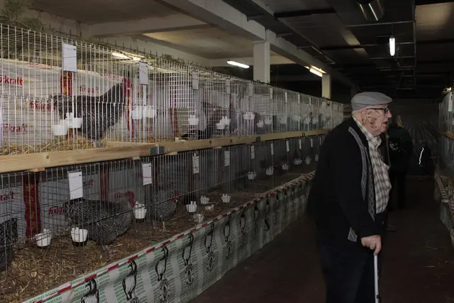 Foto: Walter Kellner