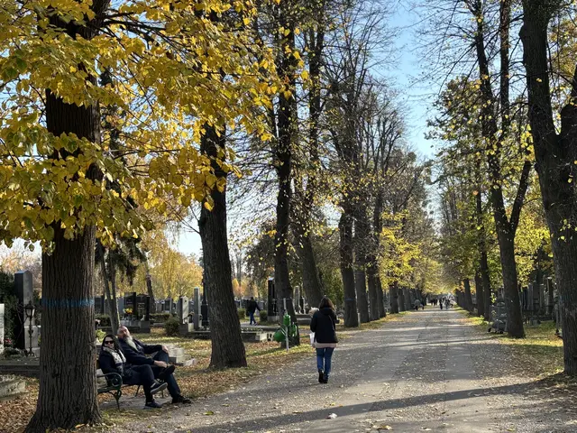 Foto: Antonio Šećerović/MeinBezirk