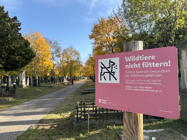 Foto: Antonio Šećerović/MeinBezirk