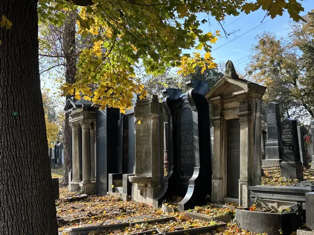 Foto: Antonio Šećerović/MeinBezirk