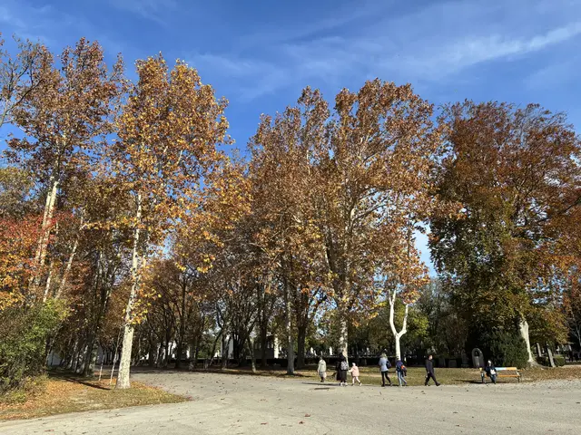 Foto: Antonio Šećerović/MeinBezirk
