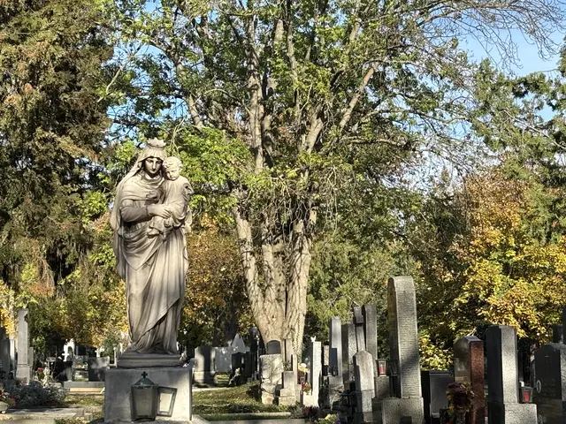 Foto: Antonio Šećerović/MeinBezirk