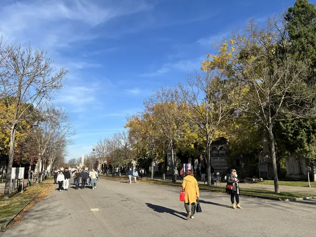 Foto: Antonio Šećerović/MeinBezirk