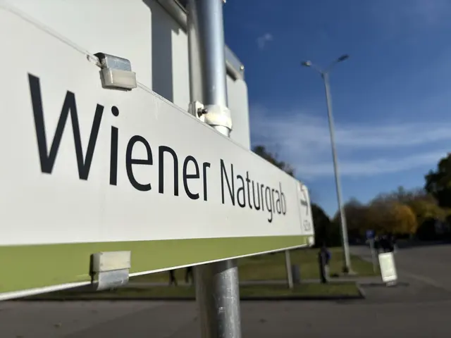 Foto: Antonio Šećerović/MeinBezirk