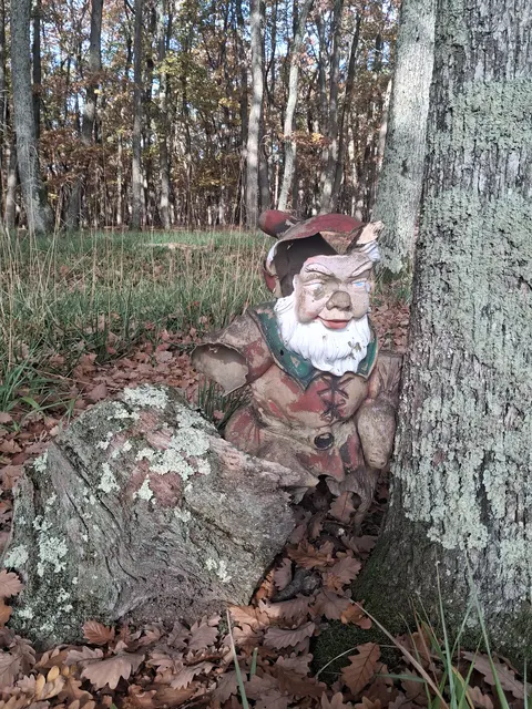 Wer schaut denn da aus dem Wald? Erst konnte ich es gar nicht gut erkennen. Da muss ich näher. Und was schaut da her? Ein Gartenzwerg mit Dachschaden🫣😅 | Foto: Gold Michaela