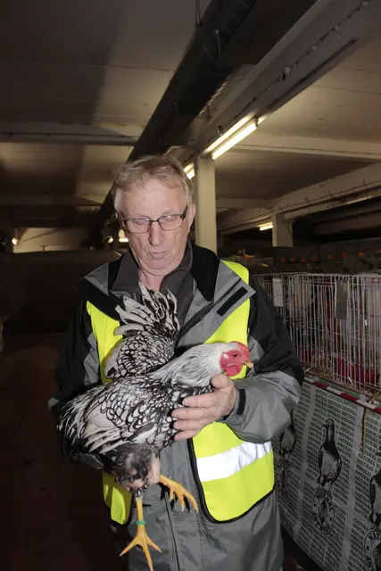 Foto: Walter Kellner