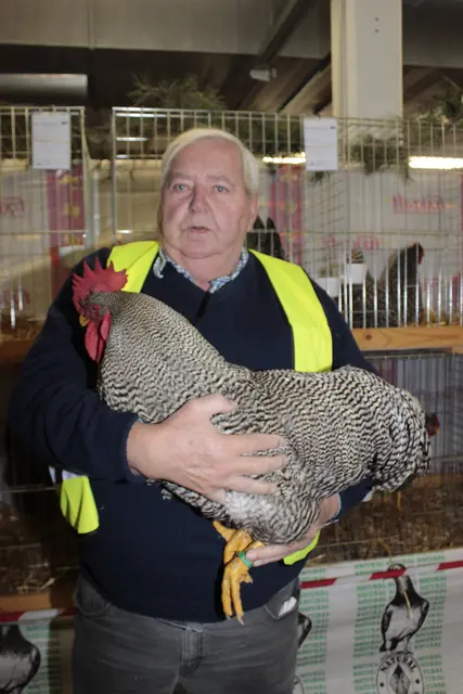 Foto: Walter Kellner