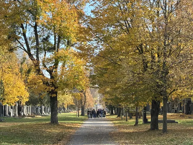 Foto: Antonio Šećerović/MeinBezirk