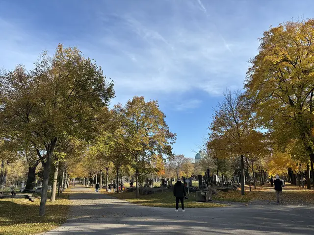 Foto: Antonio Šećerović/MeinBezirk