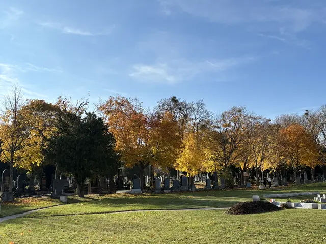 Foto: Antonio Šećerović/MeinBezirk