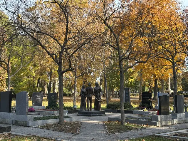 Foto: Antonio Šećerović/MeinBezirk