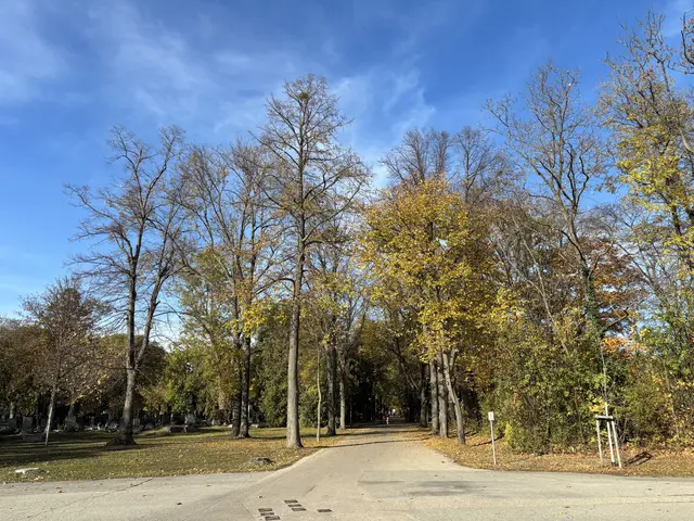 Foto: Antonio Šećerović/MeinBezirk