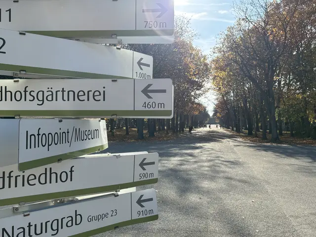 Foto: Antonio Šećerović/MeinBezirk