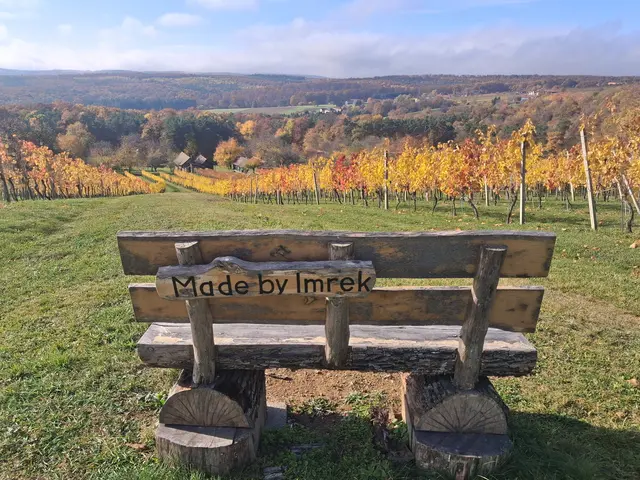 So ein schönes Platzerl😍 | Foto: Gold Michaela